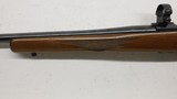 Ruger M77 77, Made 2001, W/ RIngs, 243 Winchester, 22" barrel - 18 of 22