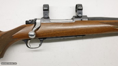 Ruger M77 77, Made 2001, W/ RIngs, 243 Winchester, 22