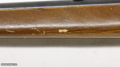 Anschutz Bolt action Single Shot 22 Long bird shot Smoothbore 21