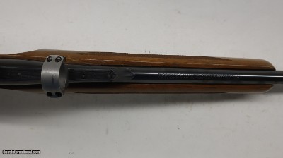 Ruger Number 1 Single shot 204 Ruger 22