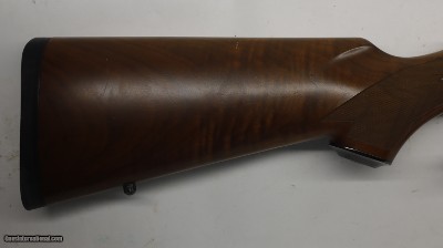 Ruger Number 1 Single shot 204 Ruger 22