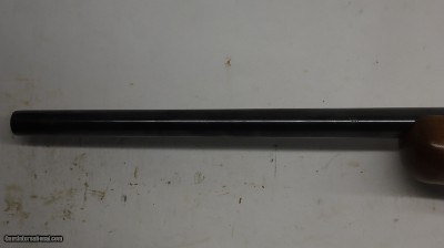Ruger Number 1 Single shot 204 Ruger 22
