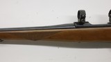 Ruger M77 77 Mark 2 International, 243 Win, 1995 With Rings - 18 of 22