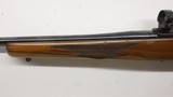 Ruger M77 77 Tang Safety, 243 Win Winchester, rings, 1978 - 17 of 21
