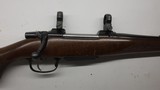 CZ 550 22-250 Remington 24