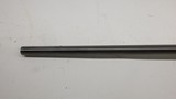 CZ 550 243 Winchester 24