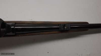 CZ 550 22-250 Remington 24