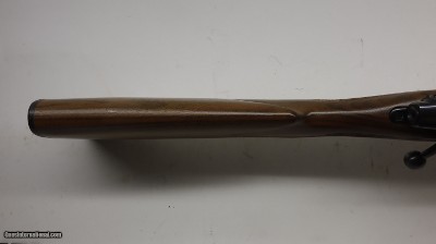 CZ 550 22-250 Remington 24