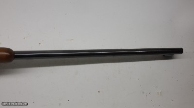 CZ 550 22-250 Remington 24