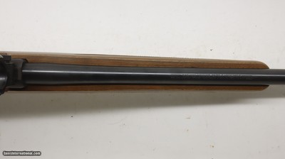 Ruger 77/22 22LR 20