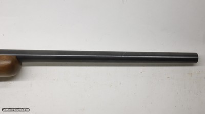 Ruger 77/22 22LR 20