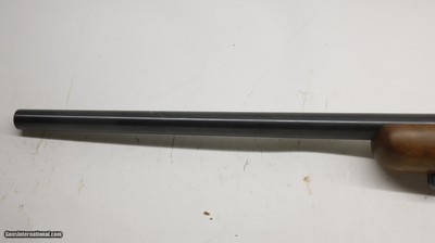 Ruger 77/22 22LR 20