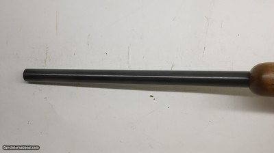 Ruger 77/22 22LR 20