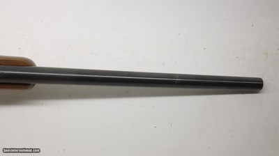 Ruger 77/22 22LR 20