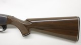 Remington Nylon 66, 22LR, 19