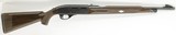 Remington Nylon 66, 22LR, 19