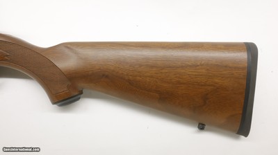 Ruger 77/22 22LR 19