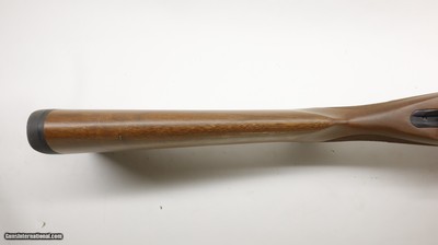 Ruger 77/22 22LR 19