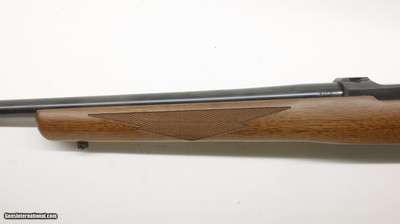 Ruger 77/22 22LR 19