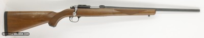 Ruger 77/22 22LR 19