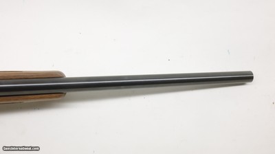 Ruger 77/22 22LR 19