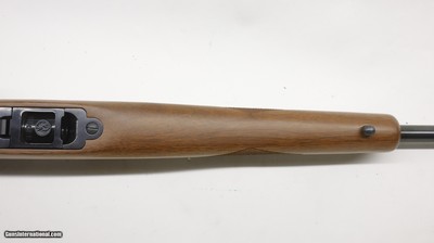 Ruger 77/22 22LR 19