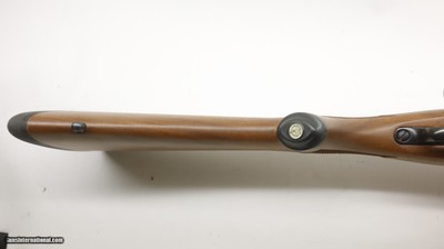 Ruger 77/22 22LR 19