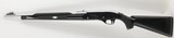 Remington Nylon 66, 22LR, 19
