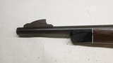 Remington Nylon 66, 22LR, 19
