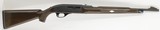 Remington Nylon 66, 22LR, 19
