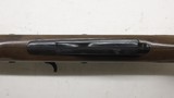 Remington Nylon 66, 22LR, 19