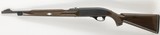 Remington Nylon 66, 22LR, 19