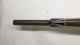 Remington Nylon 66, 22LR, 19