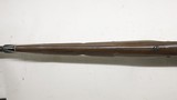 Remington Nylon 66, 22LR, 19
