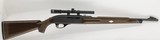 Remington Nylon 66, 22LR, 19