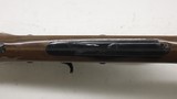 Remington Nylon 66, 22LR, 19