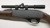 Remington Nylon 66, 22LR, 19