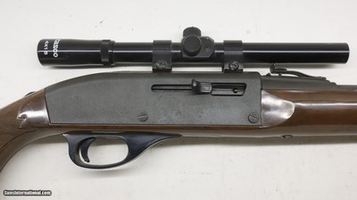 Remington Nylon 66, 22LR, 19