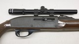 Remington Nylon 66, 22LR, 19