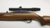 Ruger 10/22 10-22 Carbine 1976 200th Anniversary #25040074 - 18 of 22