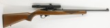 Ruger 10/22 10-22 Carbine 1976 200th Anniversary #25040074 - 21 of 22