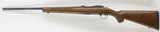 Ruger 77/17 17 HMR 22