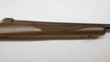 Ruger 77/17 17 HMR 22