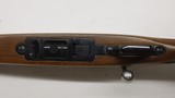 Ruger 77/17 17 HMR 22