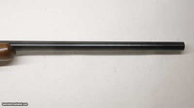 Ruger 77/17 17 HMR 22