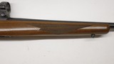 Ruger 77/17 17 HMR 22