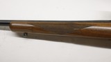 Ruger 77/17 17 HMR 22