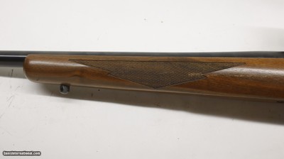 Ruger 77/17 17 HMR 22