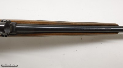 Ruger 77/17 17 HMR 22