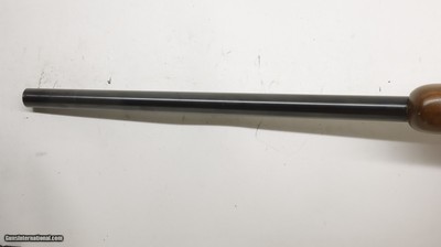 Ruger 77/17 17 HMR 22